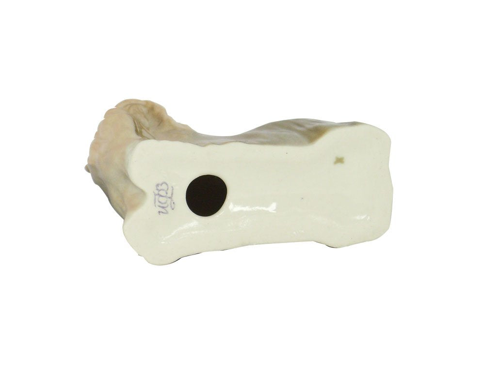 Yorkshire Terrier Dog Lomonosov Porcelain Collectible Figurine