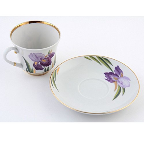 Imperial / Lomonosov Porcelain Teacup w/ Saucer 'Irises'