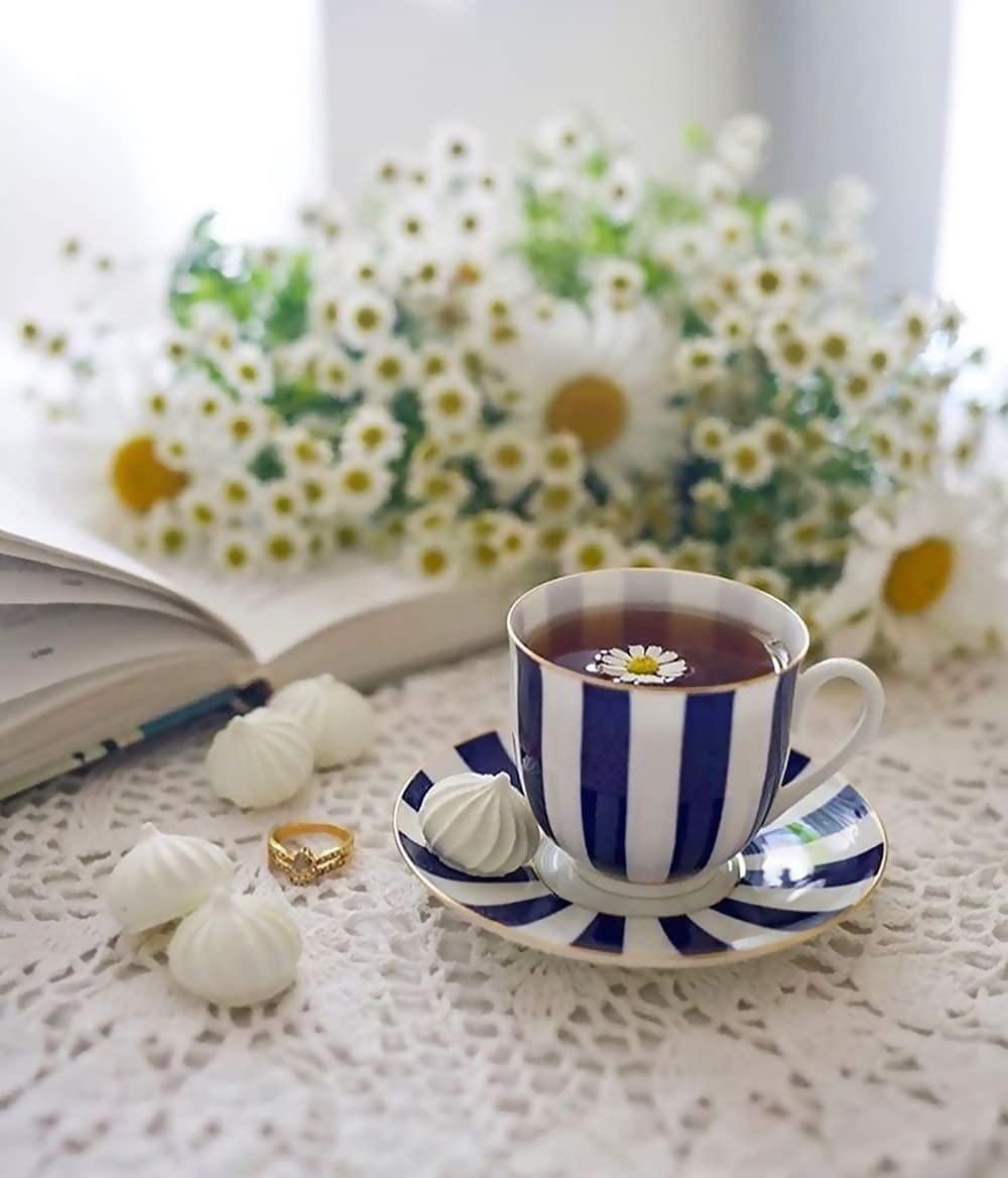 Lomonosov Porcelain Bone China Tea/Coffee Cup and Saucer Cobalt Blue Yes and No 6 oz/180 ml