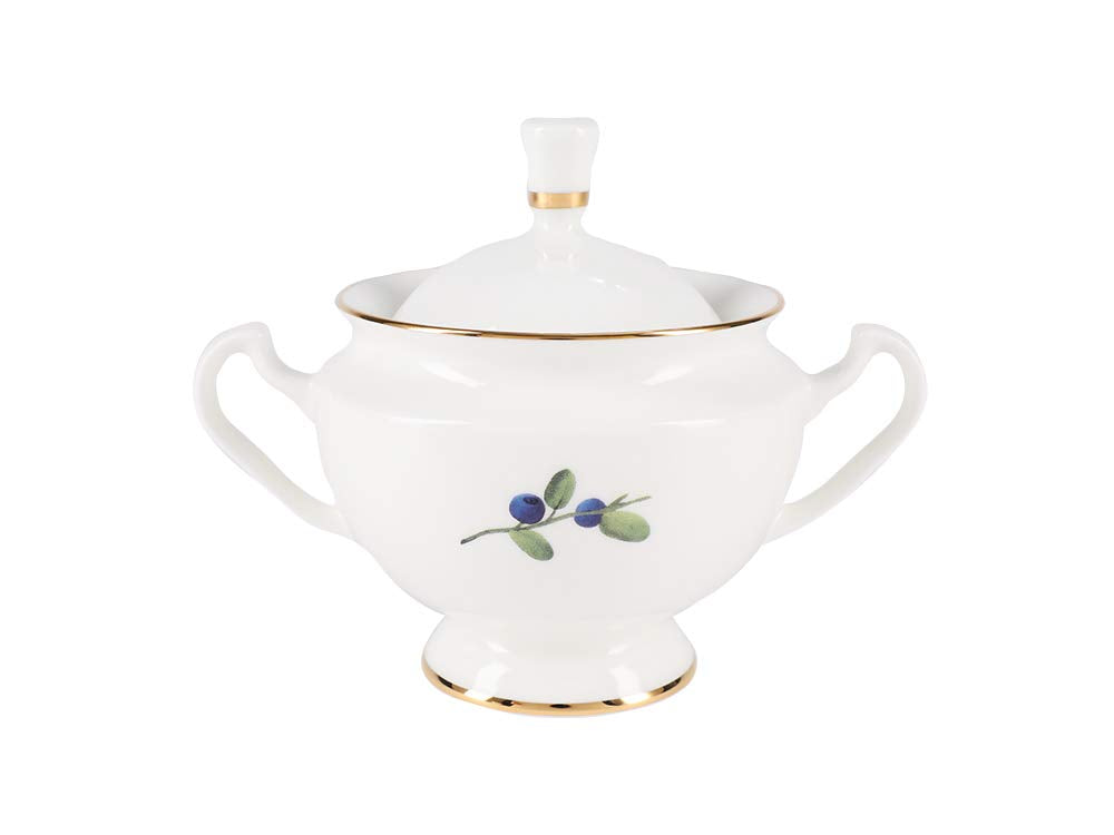 Lomonosov Porcelain Bone China Tea Set 6/14 Aisedora Flowers and Berries