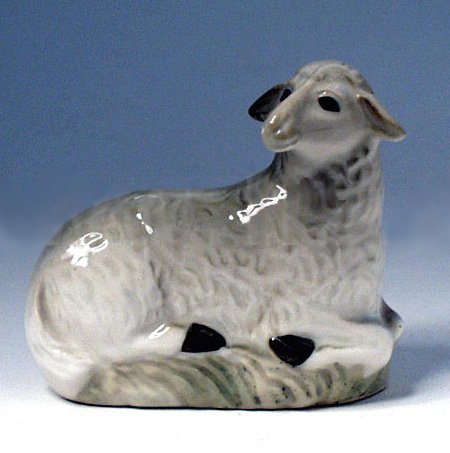 Sheep