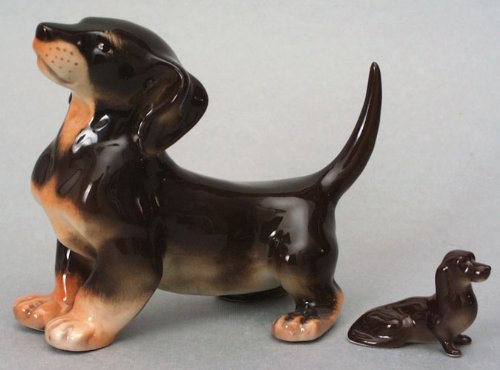 Dachshunds