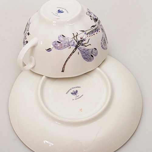 Imperial / Lomonosov Porcelain Teacup w/ Saucer 'Dragonfly Whisper'