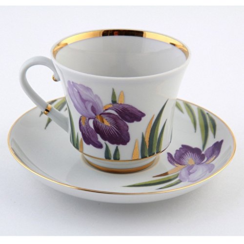 Imperial / Lomonosov Porcelain Teacup w/ Saucer 'Irises'